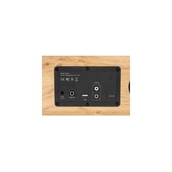 Enceinte résidentielle compacte Thomson WS502