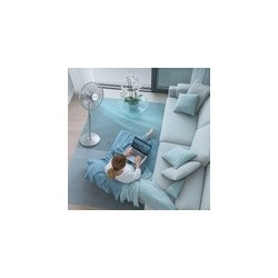 TECHWOOD Ventilateur sur Pied Chrome | BECHNARAMA