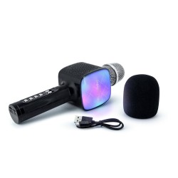 PARTY Light & Sound PARTYBTMIC2BK haut-parleur portable et d | BECHNAR